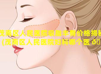 茂南区人民医院吸脂丰臀价格揭秘(茂南区人民医院妇科哪个医 🌾 生好)